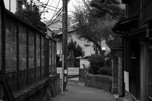 415 mini 5 DSC_8670.jpg